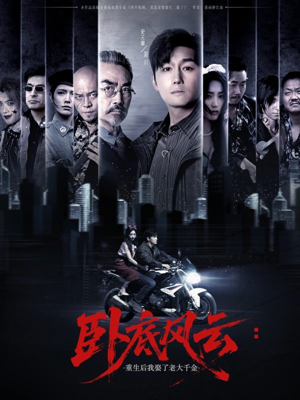 《卧底风云：重生后我娶了老大千金》-VIP部落