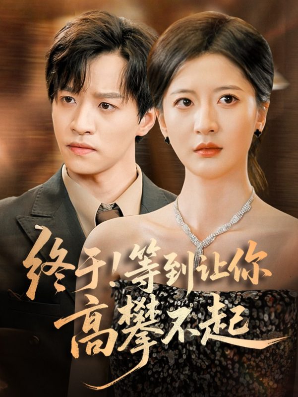 《终于!等到让你高攀不起》-VIP部落