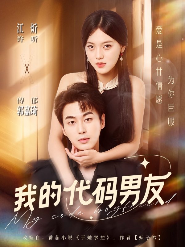 《我的代码男友》-VIP部落