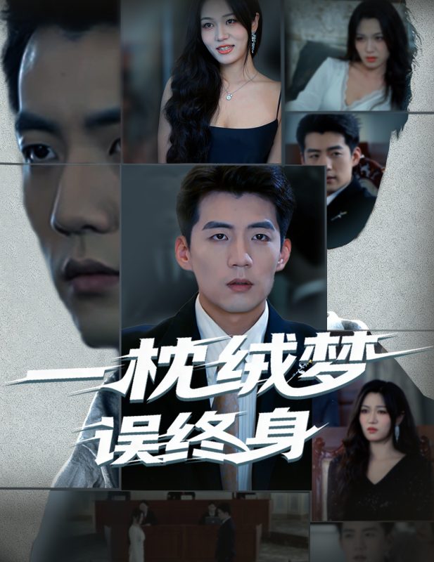 《一枕绒梦误终身》-VIP部落