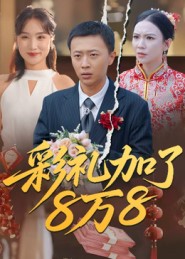 《彩礼加了8万8》-VIP部落