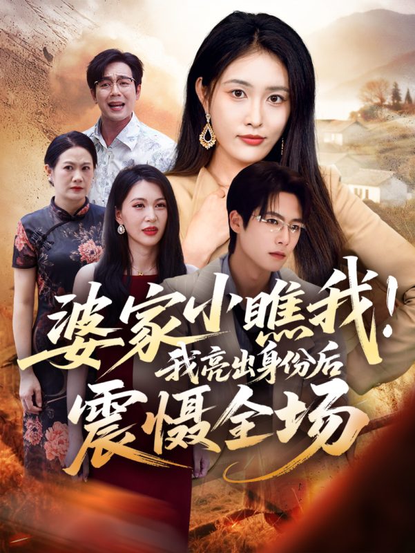 《婆家小瞧我我亮出身份后震慑全场》-VIP部落