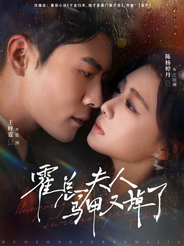 《霍总夫人马甲又掉了》-VIP部落
