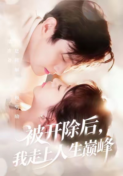 《被开除后，我走上人生巅峰》-VIP部落