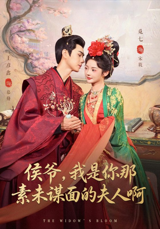 《侯爷，我是你那素未谋面的夫人啊》-VIP部落