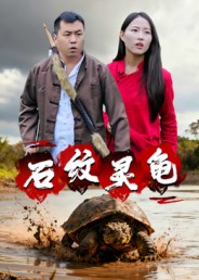 《石纹灵龟》-VIP部落