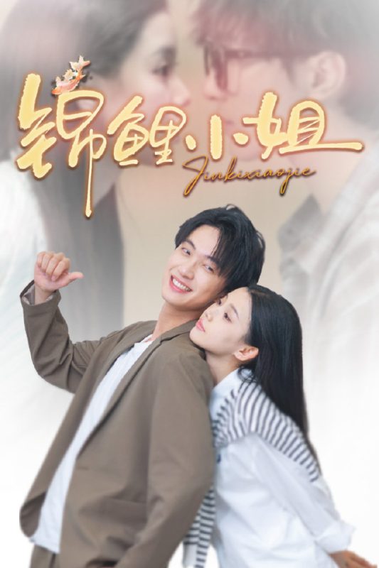 《锦鲤小姐》-VIP部落