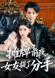 《摊牌前夜，女友提了分手》-VIP部落