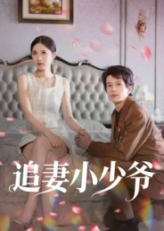 《追妻小少爷》-VIP部落