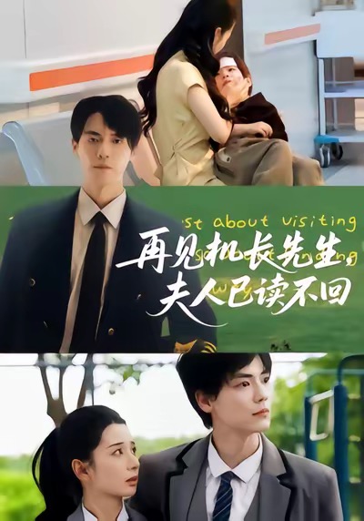 《再见机长先生夫人已读不回》-VIP部落