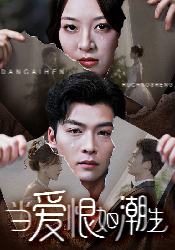《当爱恨如潮生》-VIP部落