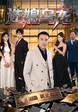 《选媳乌龙》-VIP部落