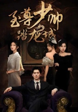 《至尊少帅踏龙城》-VIP部落