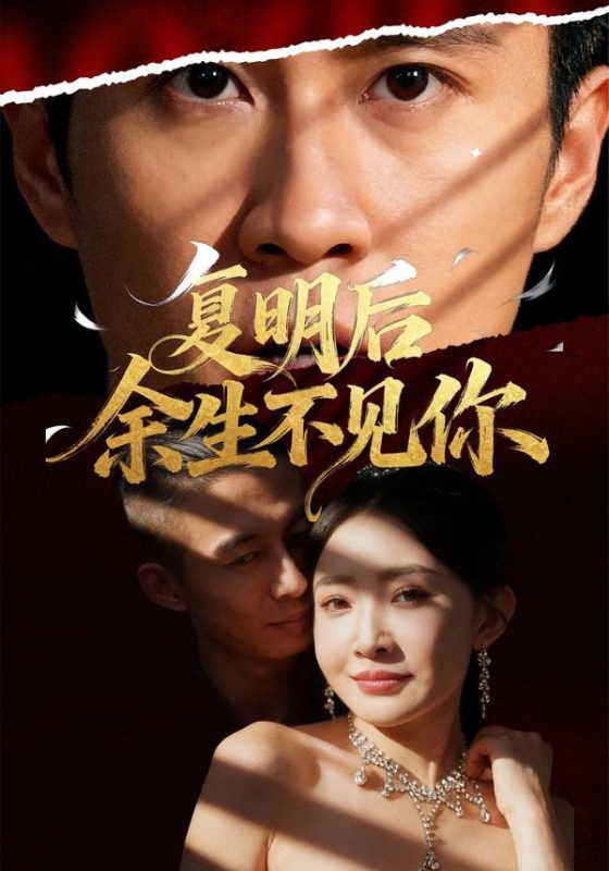 《复明后余生不见你》-VIP部落