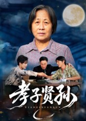 《孝子贤孙》-VIP部落
