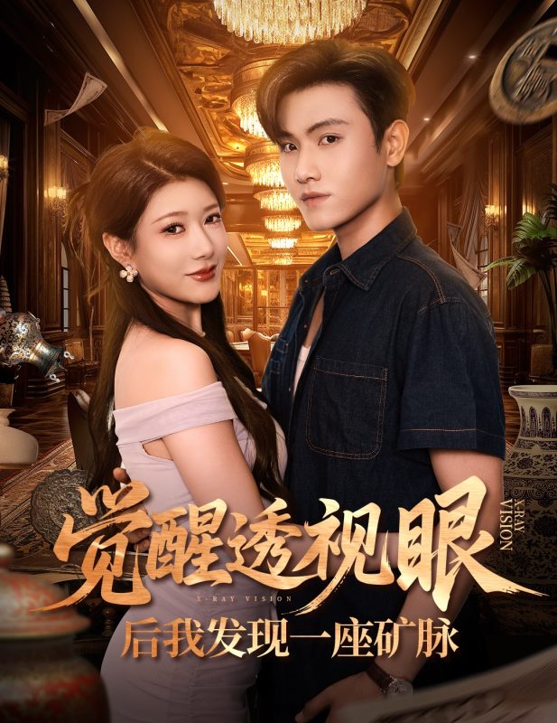 《觉醒透视眼后我发现一座矿脉》-VIP部落