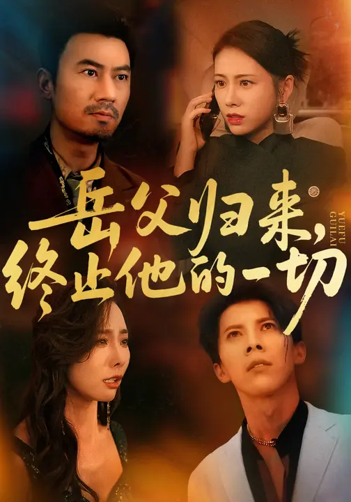 《岳父归来，终止他的一切》-VIP部落