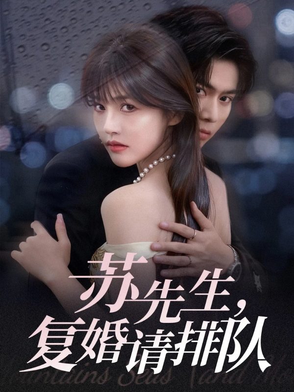 《苏先生，复婚请排队》-VIP部落
