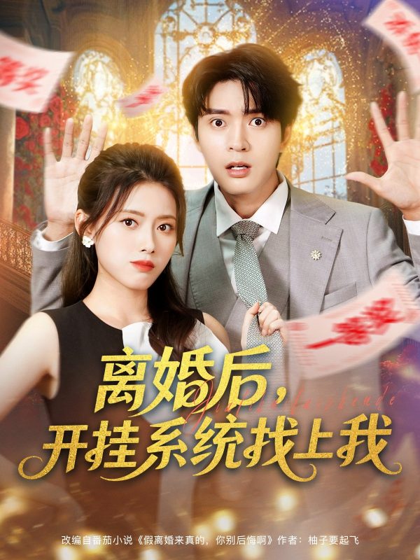 《离婚后，开挂系统找上我》-VIP部落