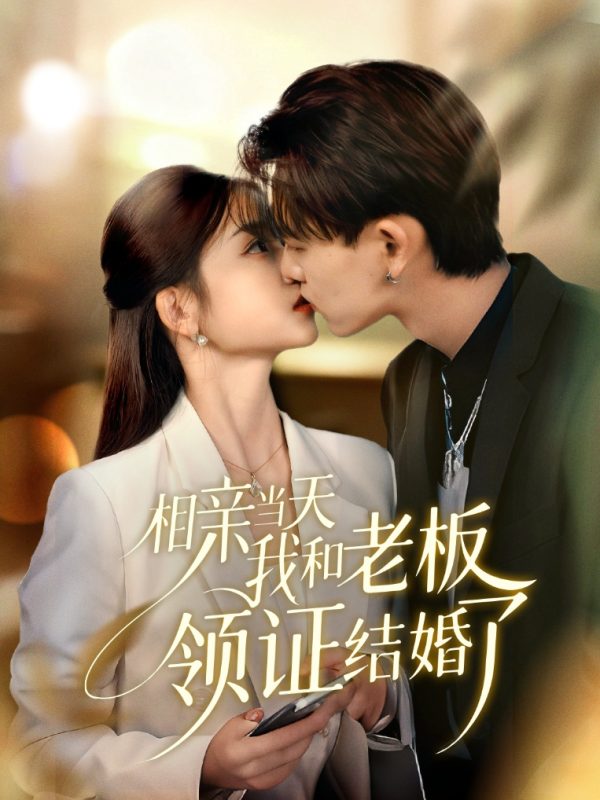 《相亲当天我和老板领证结婚了》-VIP部落