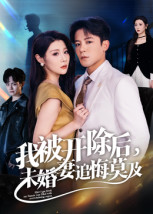 《我被开除后，未婚妻追悔莫及》-VIP部落