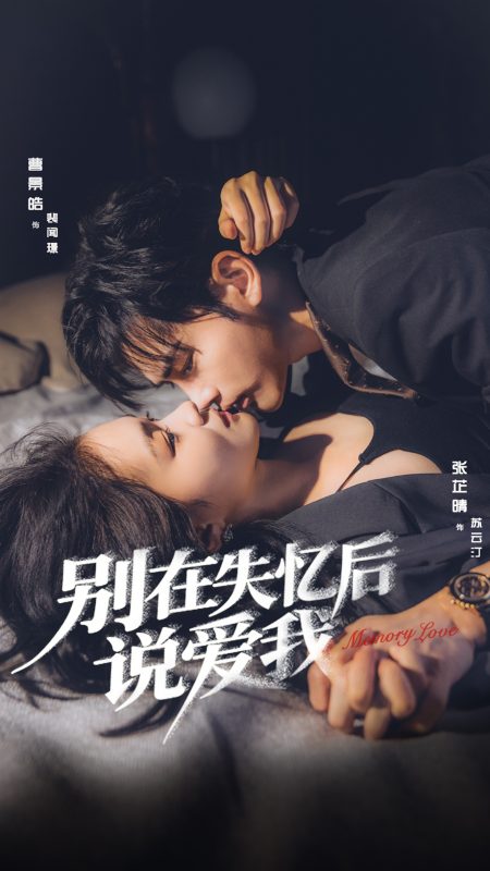《别在失忆后说爱我》-VIP部落
