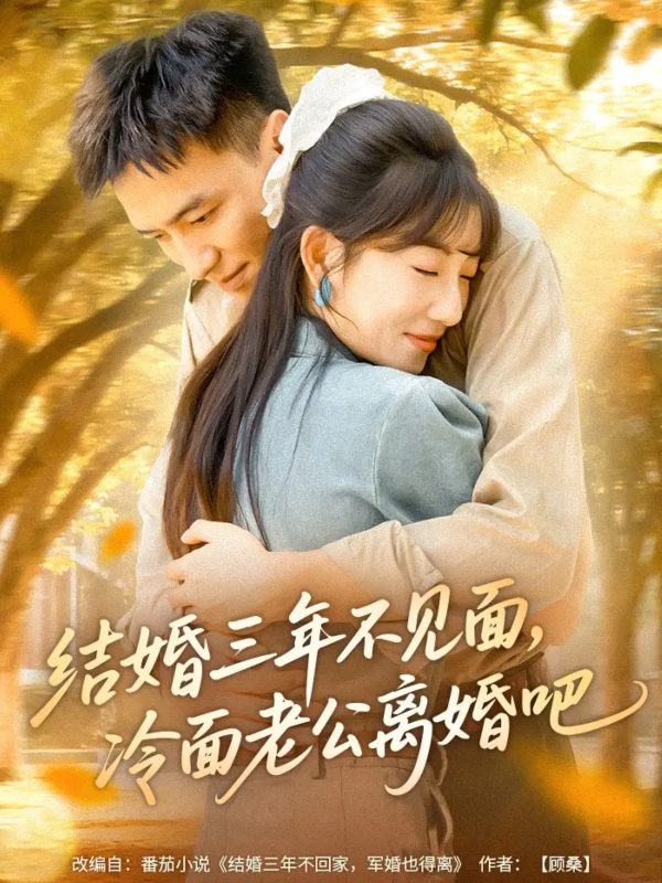 《结婚三年不见面，冷面老公离婚吧》-VIP部落