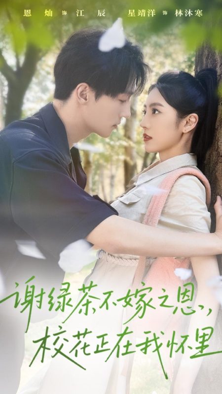 《谢绿茶不嫁之恩校花正在我怀里》-VIP部落