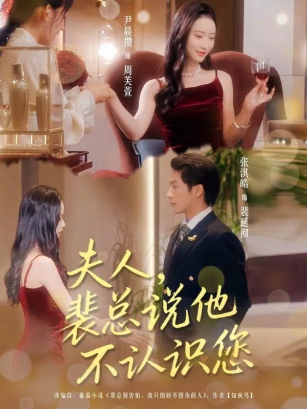 《夫人裴总说他不认识您》-VIP部落