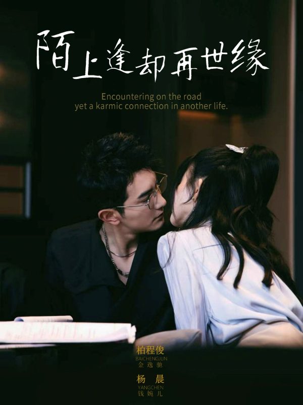 《陌上逢却再世缘》-VIP部落