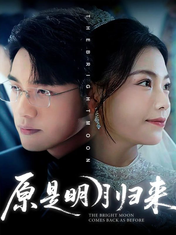 《原是明月归来》-VIP部落