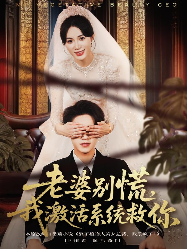 《老婆别慌，我激活系统救你》-VIP部落