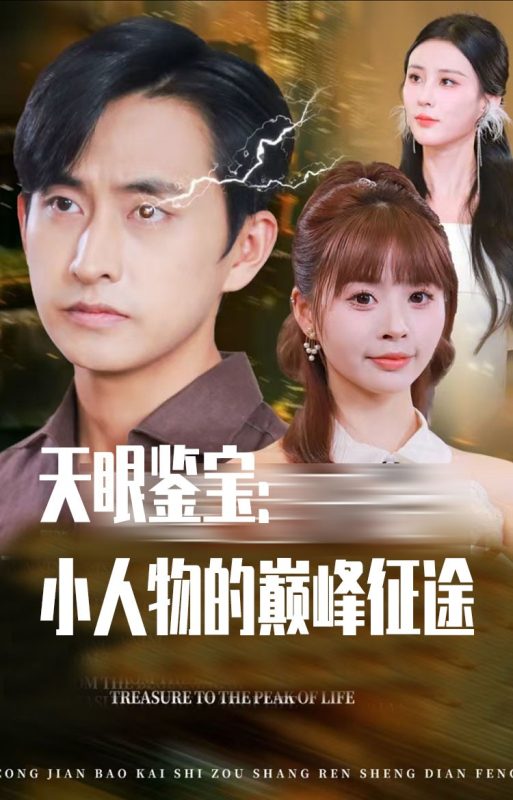 《天眼鉴宝小人物的巅峰征途》-VIP部落