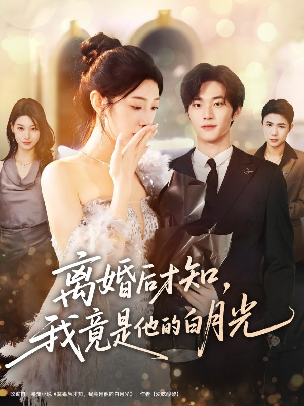 《离婚后才知，我竟是他的白月光》-VIP部落