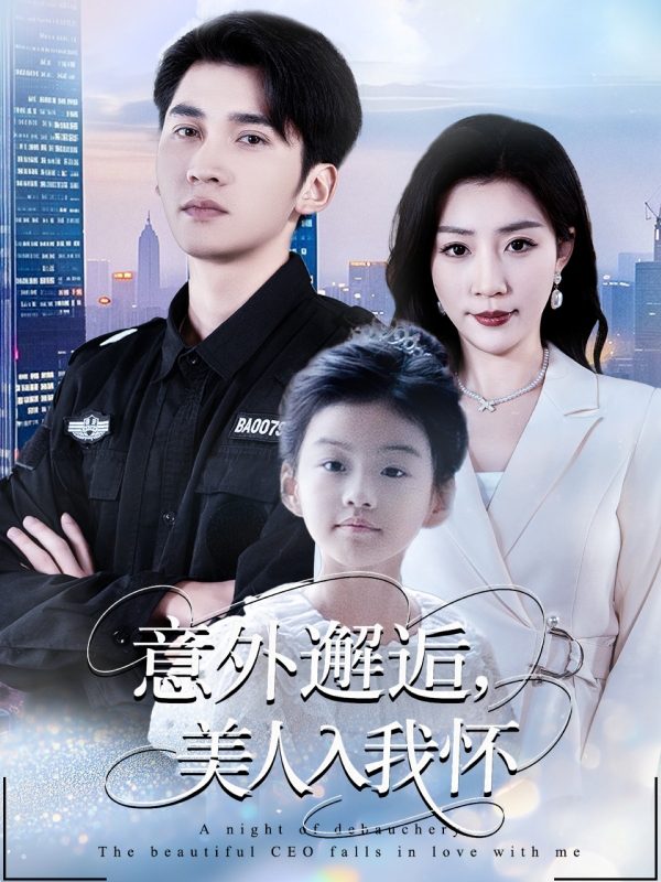 《意外邂逅美人入我怀》-VIP部落