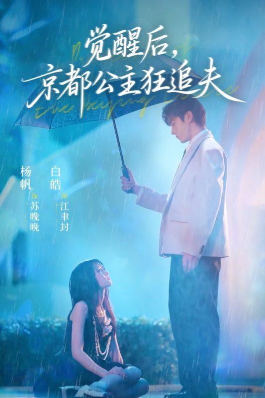 《觉醒后，京都公主狂追夫》-VIP部落