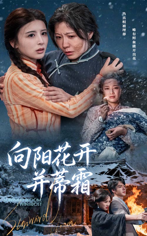 《向阳花开并蒂霜》-VIP部落