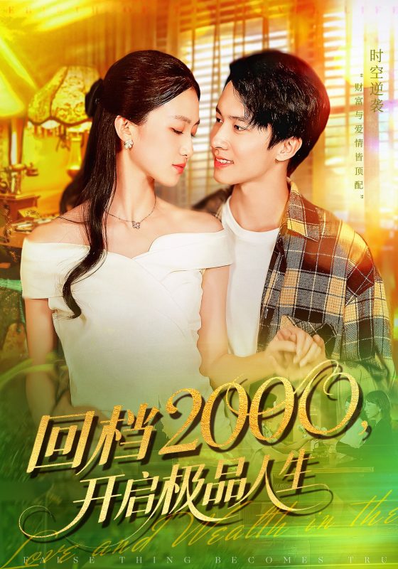 《回档2000开启极品人生》-VIP部落