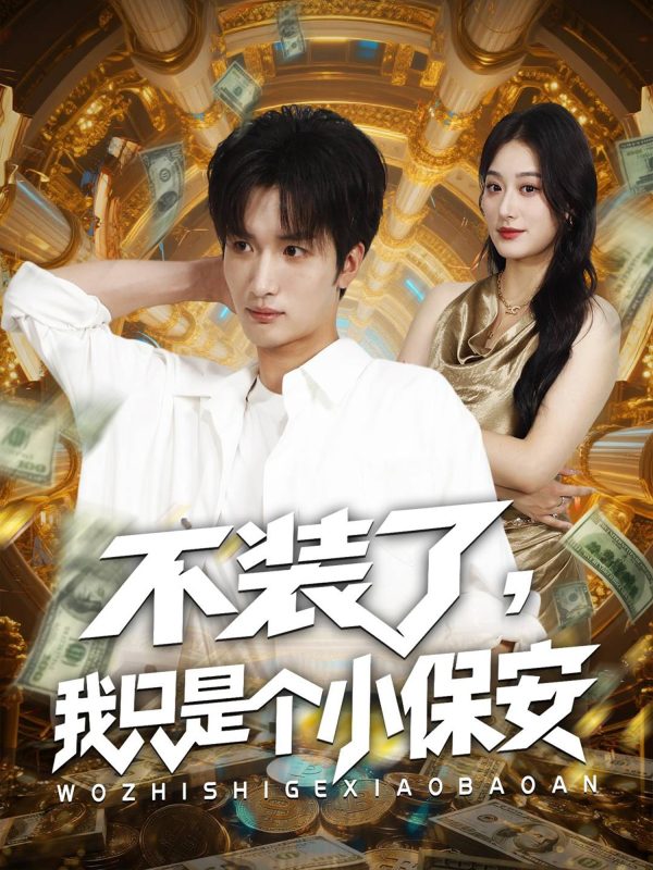 《不装了我只是个小保安》-VIP部落