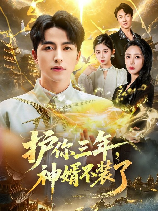 《护你三年，神婿不装了》-VIP部落