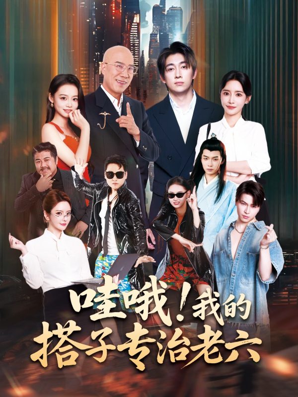 《哇哦我的搭子专治老六》-VIP部落