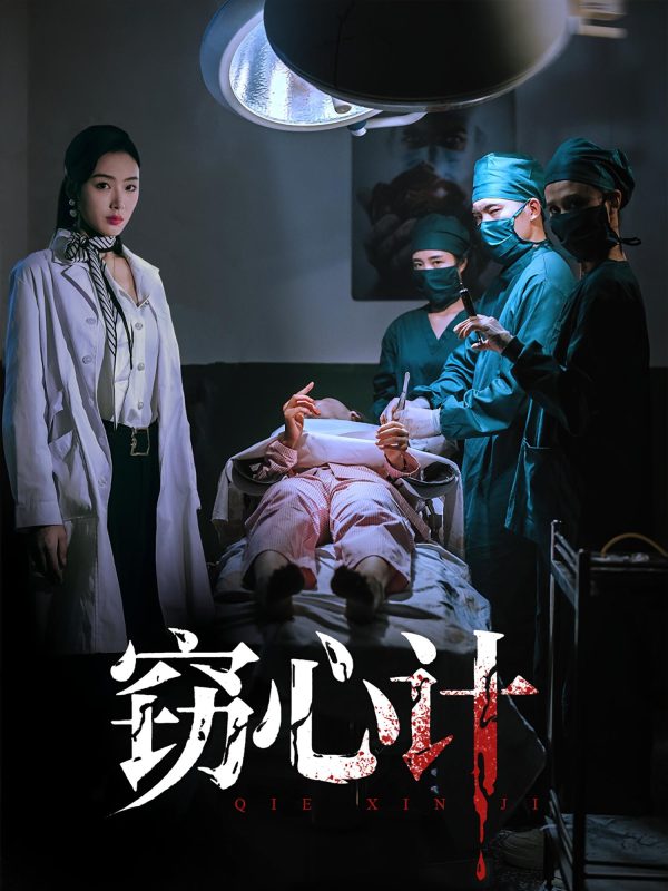 《窃心计》-VIP部落