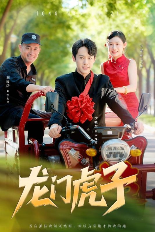 《龙门虎子》-VIP部落