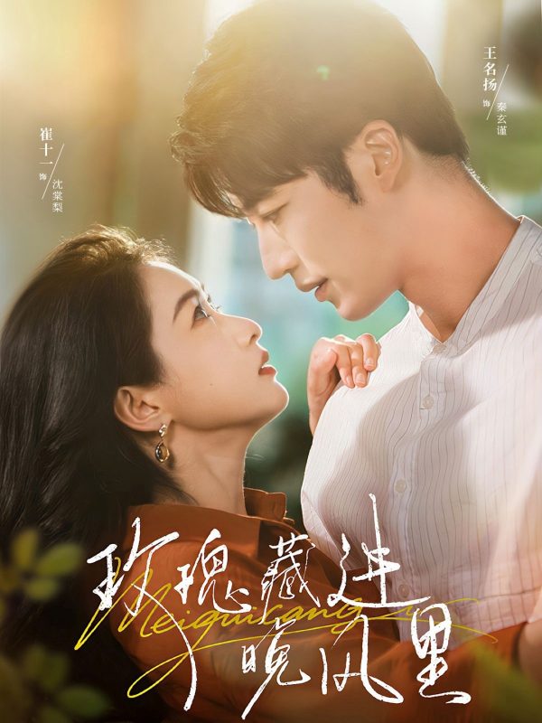 《玫瑰藏进晚风里》-VIP部落