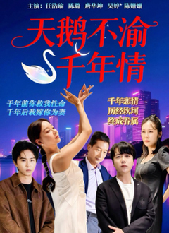 《天鹅不渝千年情》-VIP部落