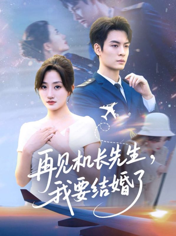 《再见机长先生我要结婚了》-VIP部落