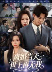 《离婚当天世上再无我》-VIP部落