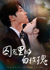《囚笼里的白玫瑰》-VIP部落