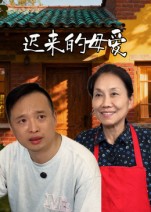 《迟来的母爱》-VIP部落