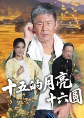 《十五的月亮十六圆》-VIP部落